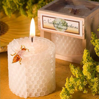 Kinderverjaardagsfeestje Benod - Candle Supplies In recensie en prijs